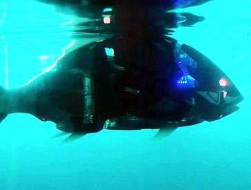 Film still: Robot fish swimming through water.