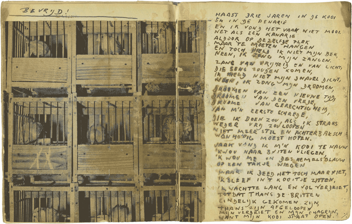 Handschriftliche Seite in Druckbuchstaben mit einem eingeklebten Foto mit Vogelkäfigen und dem Titel Bevrjd.