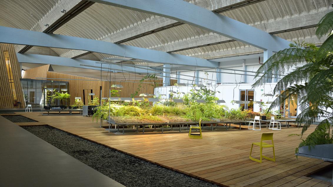Der Garten der Diaspora: Indoor-Garten mit Beeten.