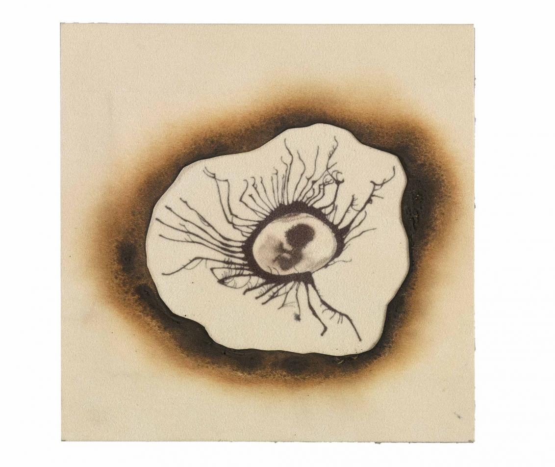 Tuschezeichnung einer menschlichen Embryofigur, die von einem Ring aus verbranntem Papier umgeben ist.