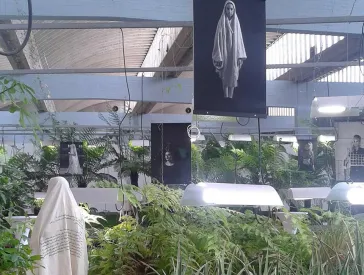 A peek at the exhibition in the Diaspora Garden