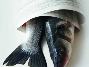 Detail from a book cover: it shows a fish wrapped in newspaper, with its head and tail fin visible.