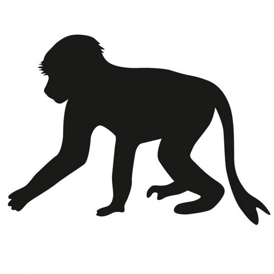 Black silhouette of a monkey on a white background.