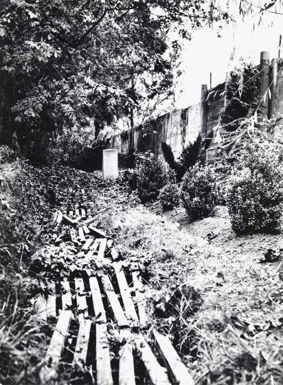 Black and white photograph: Wooden slats lie across a ditch in an overgrown area. Some of the boards have come loose and are lying diagonally on top of each other. On the left, the area is bordered by a high wall.