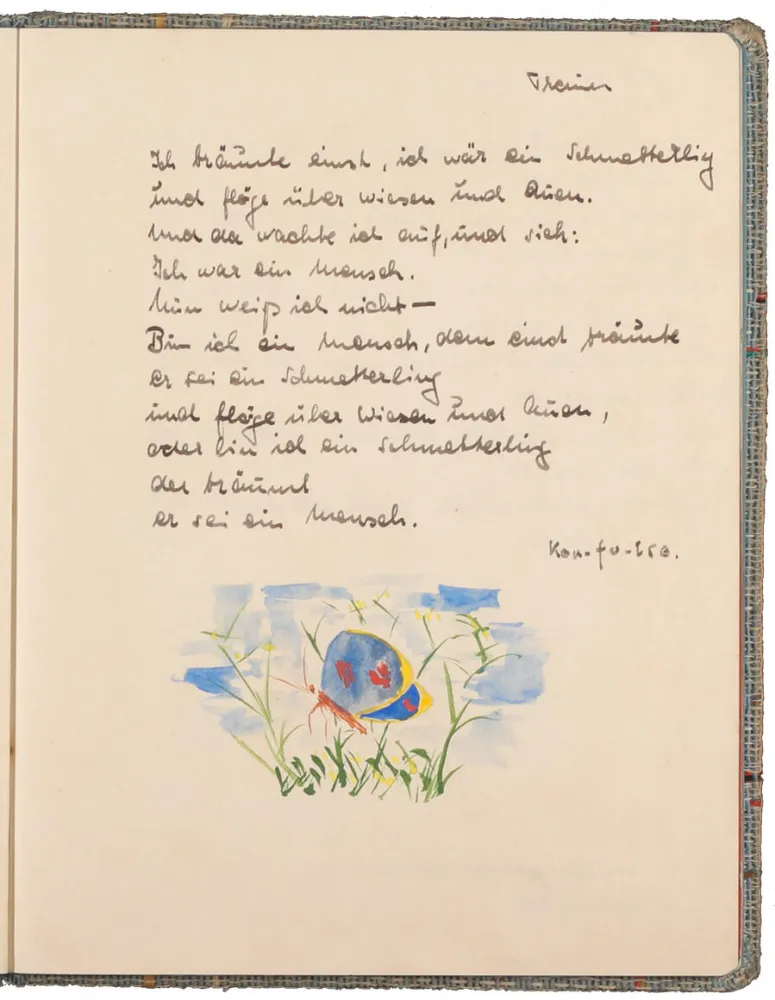 Text handwritten in ink above a color drawing of a butterfly