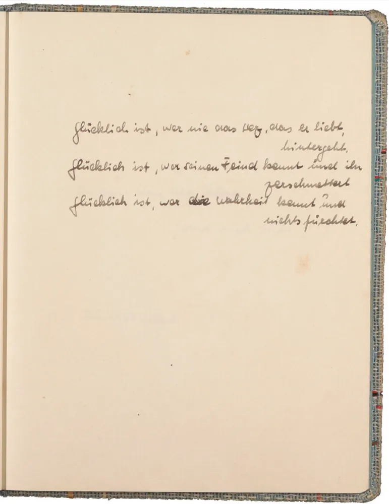 Text handwritten in ink