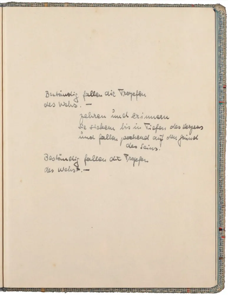 Text handwritten in ink