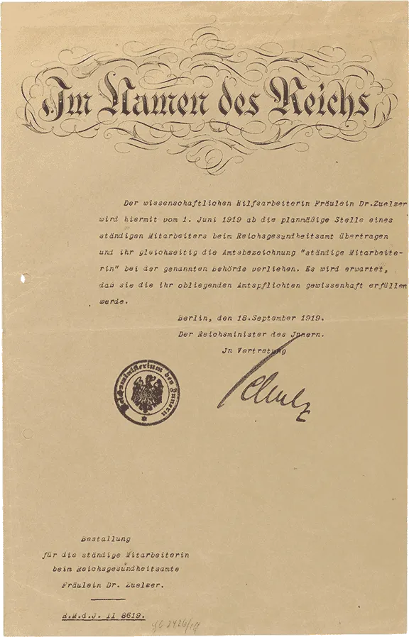 Certificate of employment with decorated heading.