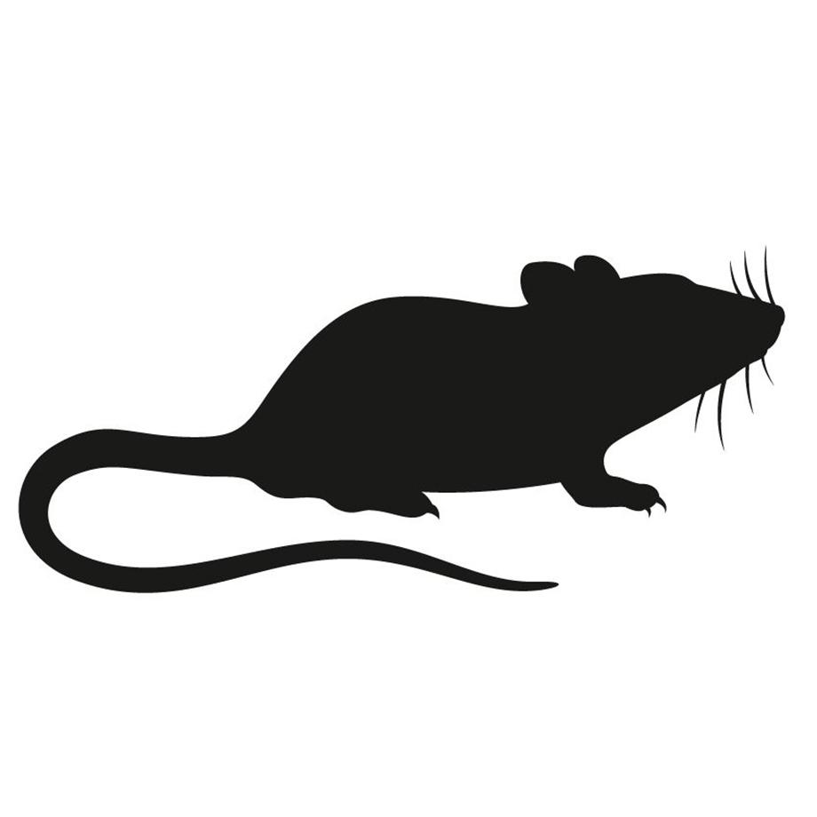 Black silhouette of a mouse on a white background.