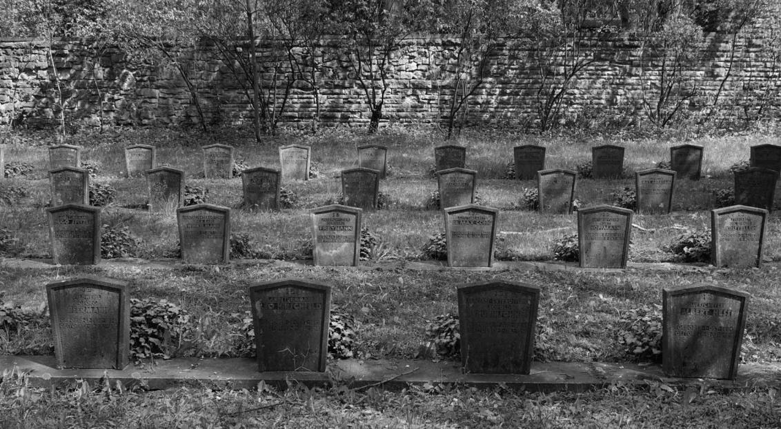 Memorial stones in four rows, grass in between, a small wall in the background