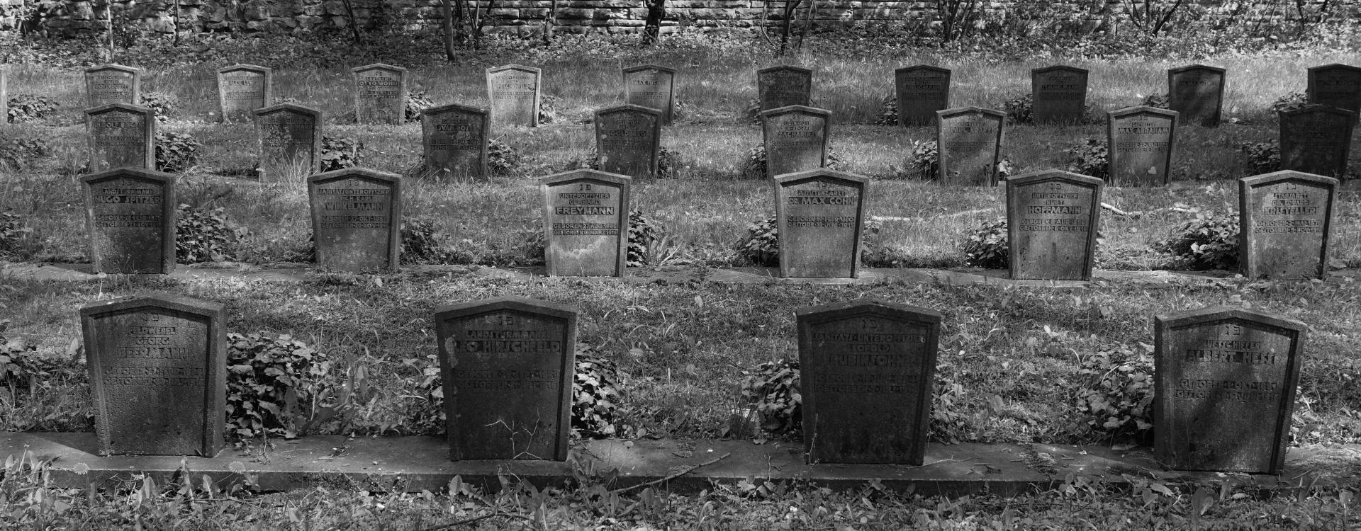 Memorial stones in four rows, grass in between, a small wall in the background