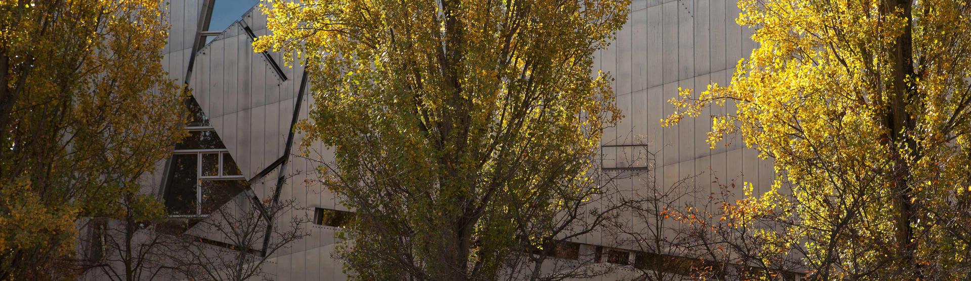 Trees in front of the Libeskind Building